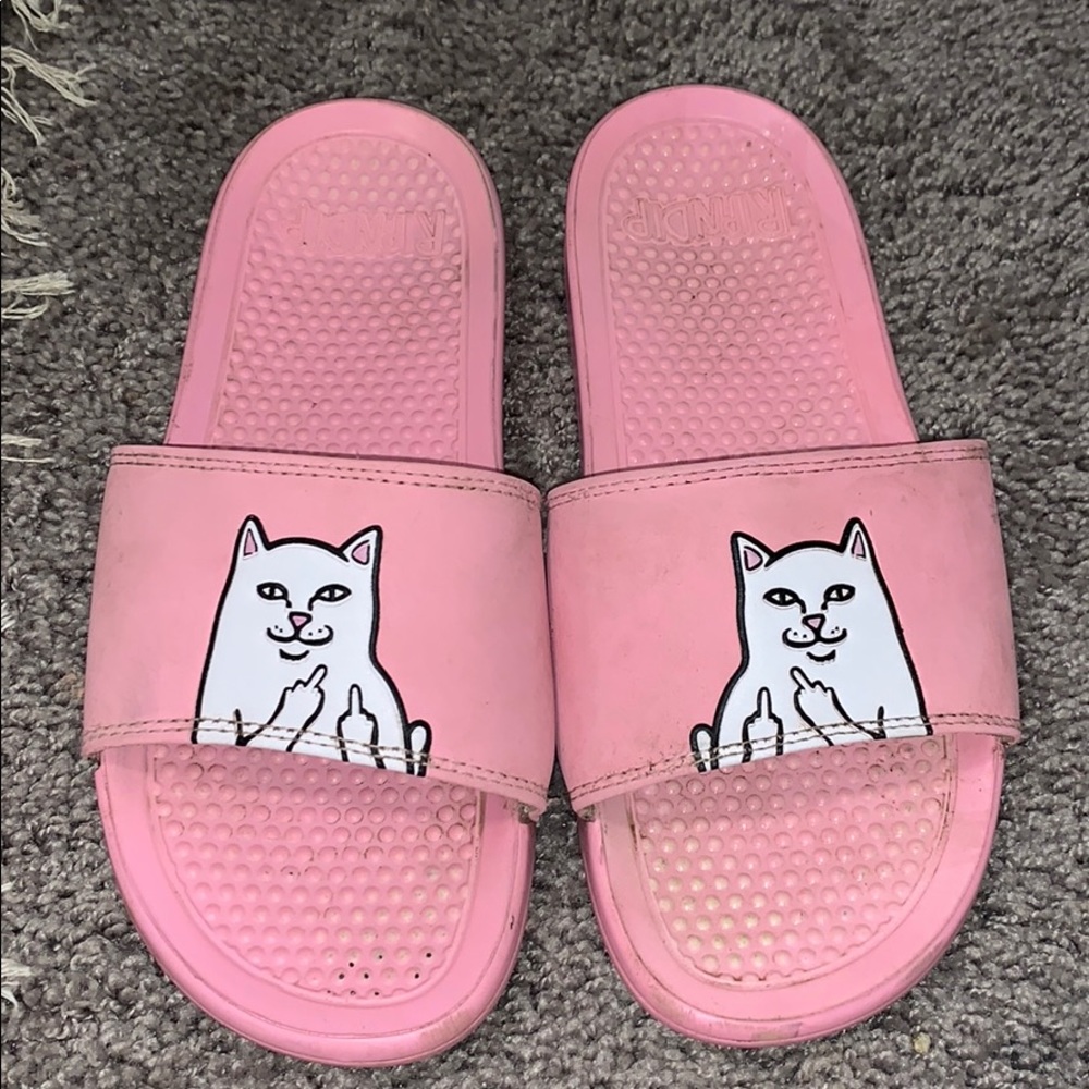 RIPNDIP slides